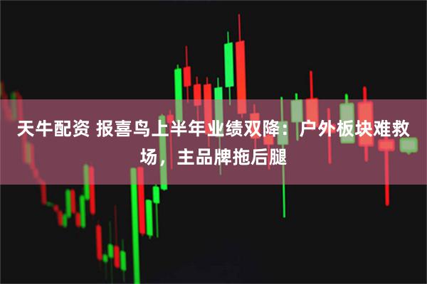 天牛配资 报喜鸟上半年业绩双降：户外板块难救场，主品牌拖后腿
