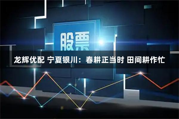 龙辉优配 宁夏银川：春耕正当时 田间耕作忙