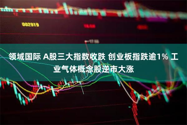 领域国际 A股三大指数收跌 创业板指跌逾1% 工业气体概念股逆市大涨
