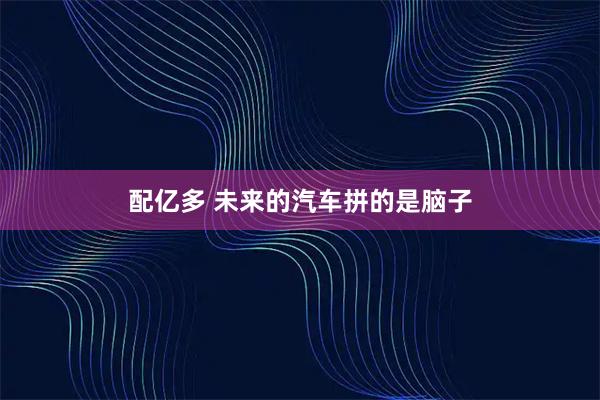 配亿多 未来的汽车拼的是脑子